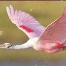 평해남대천체육공원 이미지