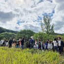 영순초등학교 이미지