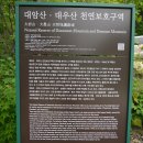 용늪마을영농조합법인 이미지