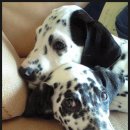 종민농장 이미지