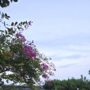 현대오일뱅크오시리아주유소 이미지