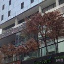네이처클린입주청소 이미지