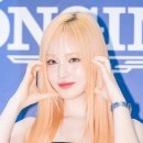 리즈볼