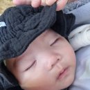 매일찬 네이버블로그