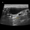 해피동물병원 이미지