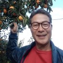 장터마당 이미지