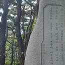 [2년 전 오늘] 동대문 사주 스타트업 사업운과 인복 관련 상담 후기