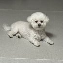 온블리살롱 이미지