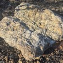 전정금농장 이미지