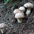 아곡농장 이미지