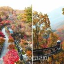 쉼이필요할때 이미지