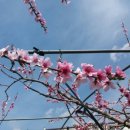 한별농장 이미지