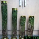 (주)담음 이미지
