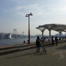 바이크인 이미지