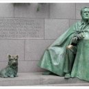 퍼스트독 이미지