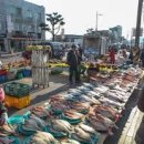 아우라지장 이미지