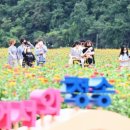 산소카폐 청송정원 (2) 네이버블로그