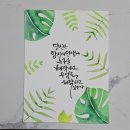 펜&수채캘리그라피 2급 (호수경 강사) 이미지