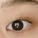 와썹뷰티 눈썹앤속눈썹펌 장한평점 이미지