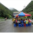 신기리 도로변 이미지