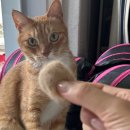 뚱땅뚱땅 이미지