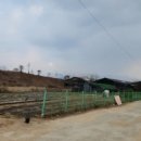 성도 농장 이미지