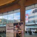 기획공연 국립심포니오케스트라-시네마클래식 데이 | 예술의전당 콘서트홀: 국립심포니오케스트라 <브루크너, 교향곡 4번> 공연 관람 후기 (25/11/1, 2층 D블록)