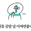 이쉬
