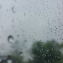 대천(서울) 네이버블로그