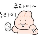 소백밥집 이미지
