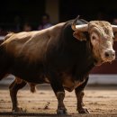 이엔바이(이n바이) 이미지