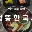 엉뚱한국수