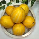 성주카 | 베타카로틴이 풍부한 고당도 프리미엄 지봉봉스토어 성주 참외 먹어본 후기