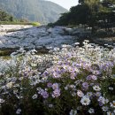 머리풍경 이미지