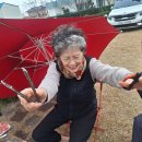 양양초등학교 이미지