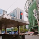 요가올
