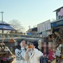 [담양 여행] 감성 카라반 선인장호스텔 후기