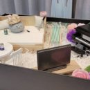 반려반상 이미지