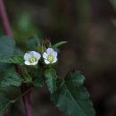 불암초등학교 이미지