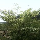 고향농장 이미지