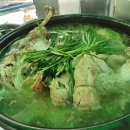 토성가든 이미지