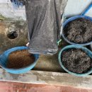 삼촌네방앗간 이미지