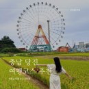 서해조선 | [충남 당진]두 번 가도 좋은 충남 당진 인스타 사진 맛집 여행코스 추천