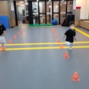 대한격투합기도 이미지