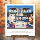 장미유치원 | 올림픽공원 가을 풍경 총집합🍁 댑싸리·장미·단풍까지 아이랑 완벽 나들이