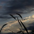 아라공원 이미지