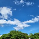 수영환경공원 이미지