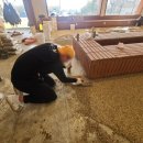 오송애견 이미지