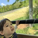 리오목장 이미지