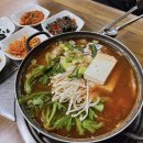 대전 괴정동 동태찌개 맛집 임성보동태찌개 용문동 해장음식 추천 진짜 맛있음!